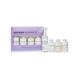 HAIR REPAIR TRATMENT KIT